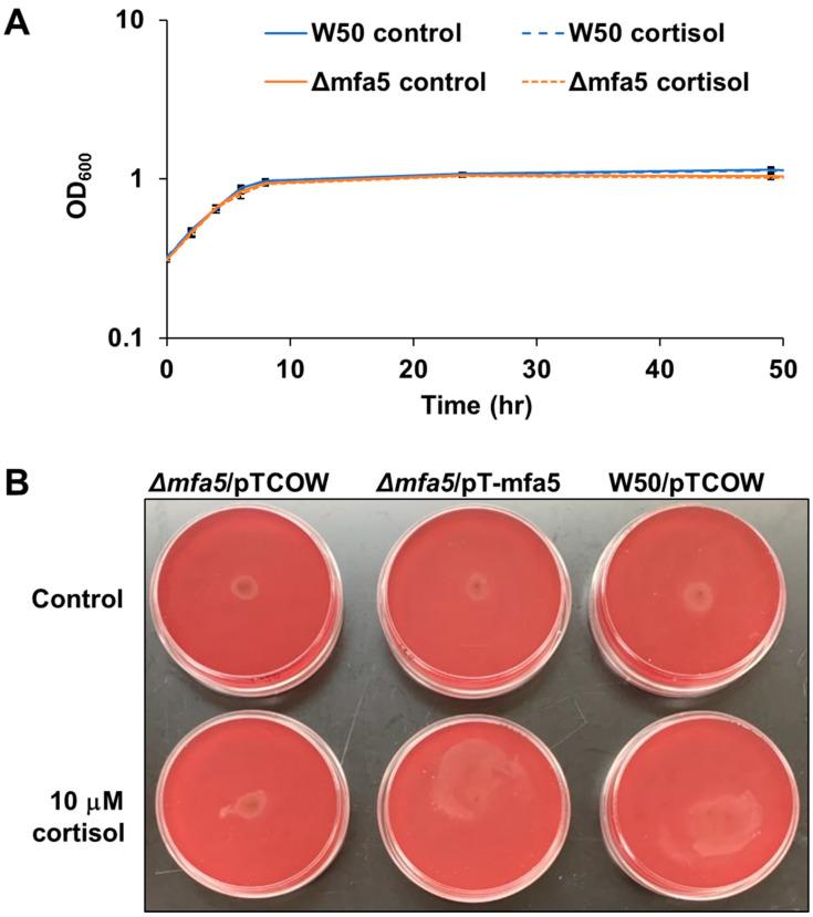 https://cdn.ncbi.nlm.nih.gov/pmc/blobs/91a1/9505793/21ca4a07de02/pathogens-11-00982-g005.jpg