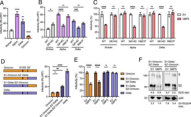 https://cdn.ncbi.nlm.nih.gov/pmc/blobs/91a1/9945951/3a70a7779863/pnas.2212577120fig03.jpg