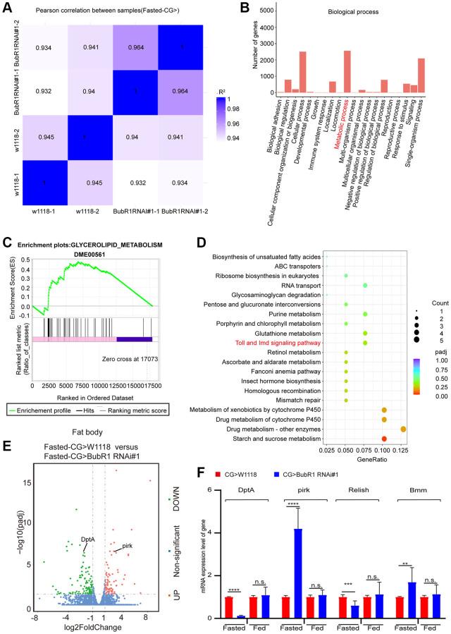 https://cdn.ncbi.nlm.nih.gov/pmc/blobs/91a2/10929803/b2b90d748b44/aging-16-205533-g003.jpg