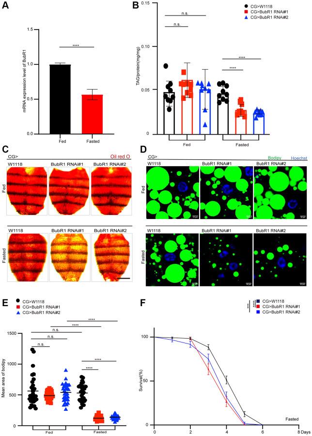 https://cdn.ncbi.nlm.nih.gov/pmc/blobs/91a2/10929803/fd11e63e29d6/aging-16-205533-g002.jpg