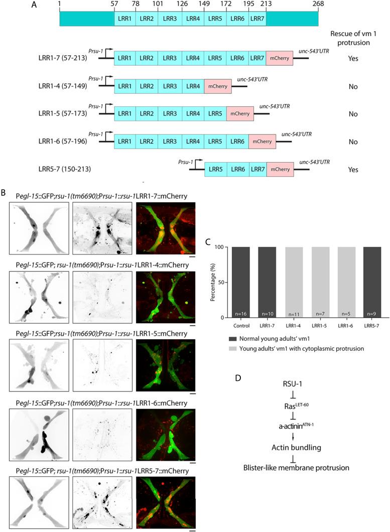 https://cdn.ncbi.nlm.nih.gov/pmc/blobs/91a2/7341117/77402dc729cc/2507f6.jpg