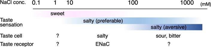 https://cdn.ncbi.nlm.nih.gov/pmc/blobs/91a2/9977269/2f82671b8326/elife-84291-fig1.jpg