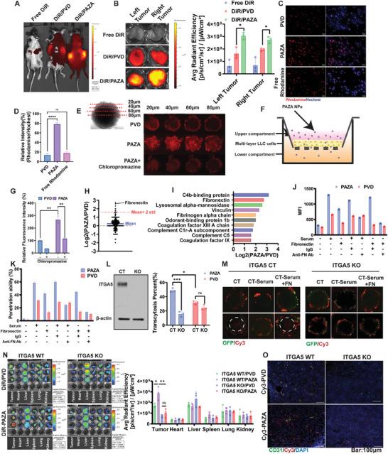https://cdn.ncbi.nlm.nih.gov/pmc/blobs/91a5/11109615/77dbeeaf54c4/ADVS-11-2307940-g005.jpg