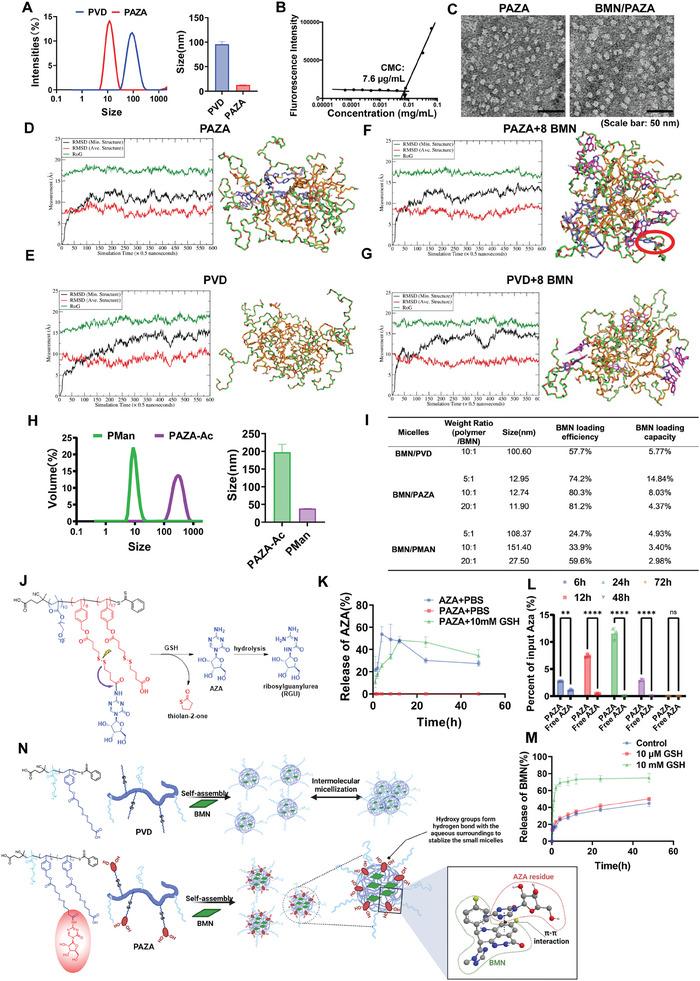 https://cdn.ncbi.nlm.nih.gov/pmc/blobs/91a5/11109615/c5853f848c2d/ADVS-11-2307940-g006.jpg