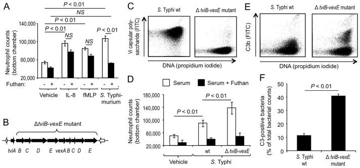 https://cdn.ncbi.nlm.nih.gov/pmc/blobs/91a8/4125291/db434bdd7998/ppat.1004306.g002.jpg