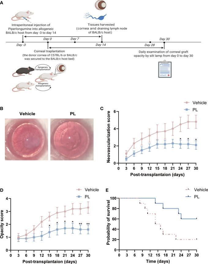 https://cdn.ncbi.nlm.nih.gov/pmc/blobs/91a9/9802119/ec73533d58e0/fimmu-13-1090877-g001.jpg