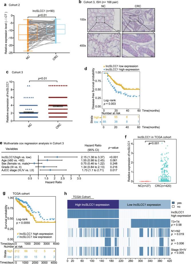 https://cdn.ncbi.nlm.nih.gov/pmc/blobs/91aa/7892549/606ac4fcc792/41392_2020_446_Fig2_HTML.jpg