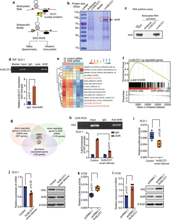 https://cdn.ncbi.nlm.nih.gov/pmc/blobs/91aa/7892549/95786adec603/41392_2020_446_Fig4_HTML.jpg