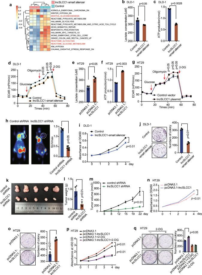 https://cdn.ncbi.nlm.nih.gov/pmc/blobs/91aa/7892549/e5787ecbbcfc/41392_2020_446_Fig3_HTML.jpg