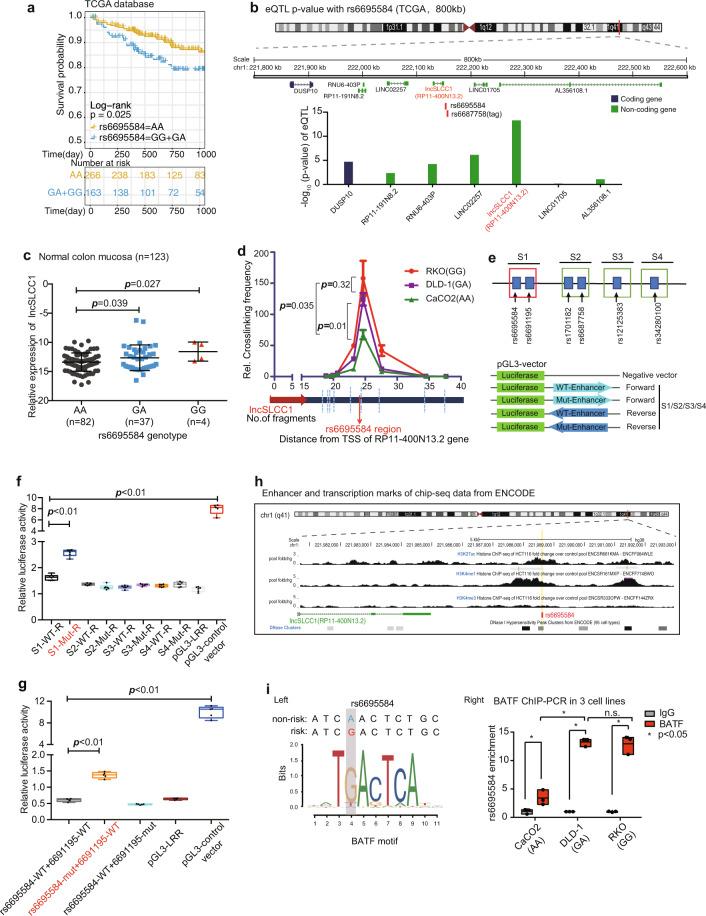https://cdn.ncbi.nlm.nih.gov/pmc/blobs/91aa/7892549/e583801a24dc/41392_2020_446_Fig1_HTML.jpg