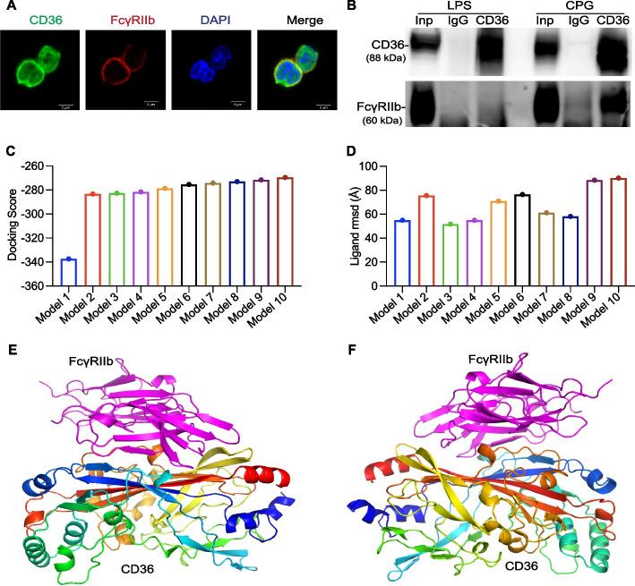 https://cdn.ncbi.nlm.nih.gov/pmc/blobs/91ac/11102138/1a58136cd0f5/11658_2024_593_Fig3_HTML.jpg