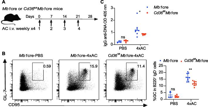 https://cdn.ncbi.nlm.nih.gov/pmc/blobs/91ac/11102138/284f5afd56b8/11658_2024_593_Fig1_HTML.jpg