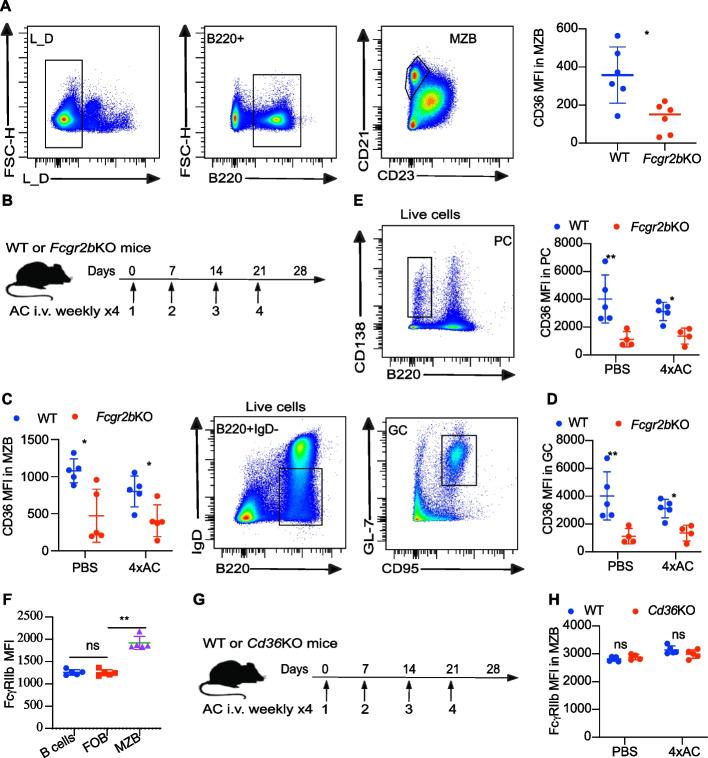 https://cdn.ncbi.nlm.nih.gov/pmc/blobs/91ac/11102138/4821717ed58b/11658_2024_593_Fig4_HTML.jpg