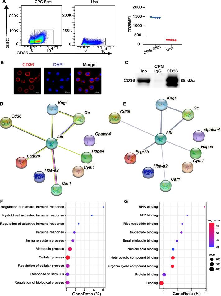 https://cdn.ncbi.nlm.nih.gov/pmc/blobs/91ac/11102138/9c6266c620e1/11658_2024_593_Fig2_HTML.jpg
