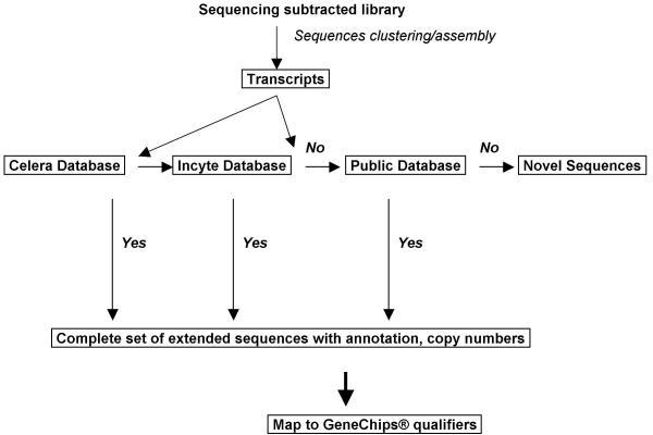 https://cdn.ncbi.nlm.nih.gov/pmc/blobs/91ac/415544/473eee1e29f0/1471-2164-5-26-1.jpg