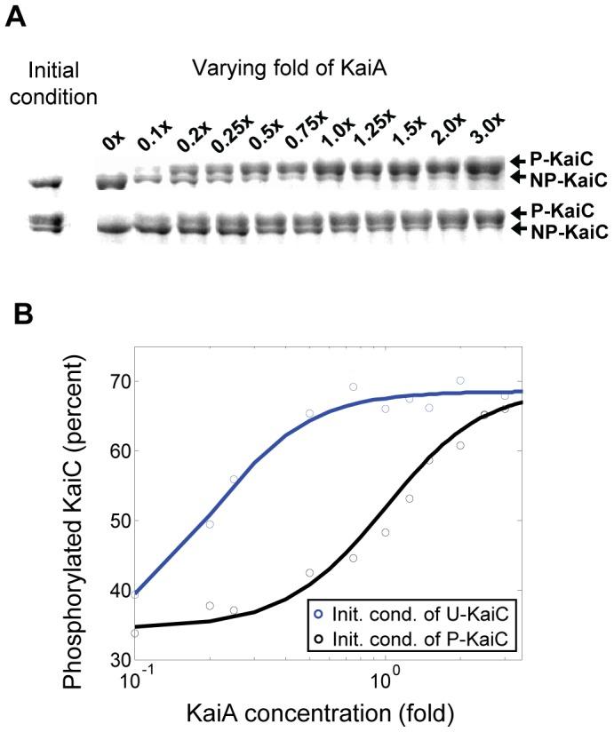 https://cdn.ncbi.nlm.nih.gov/pmc/blobs/91ae/3416856/c650113a5ec1/pone.0042581.g002.jpg