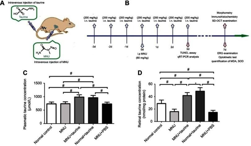 https://cdn.ncbi.nlm.nih.gov/pmc/blobs/91ae/6689665/0c981dd22241/DDDT-13-2689-g0001.jpg