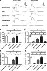 https://cdn.ncbi.nlm.nih.gov/pmc/blobs/91ae/6689665/7376f0d61473/DDDT-13-2689-g0003.jpg