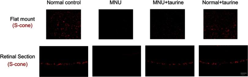 https://cdn.ncbi.nlm.nih.gov/pmc/blobs/91ae/6689665/b42a6509aab5/DDDT-13-2689-g0007.jpg