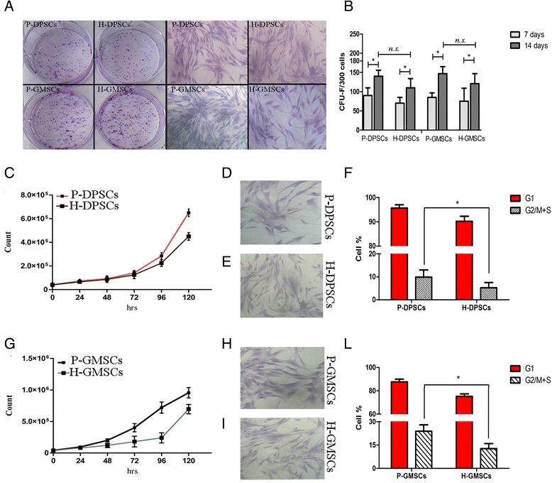 https://cdn.ncbi.nlm.nih.gov/pmc/blobs/91af/5540218/5bfb853333ca/13287_2017_633_Fig1_HTML.jpg