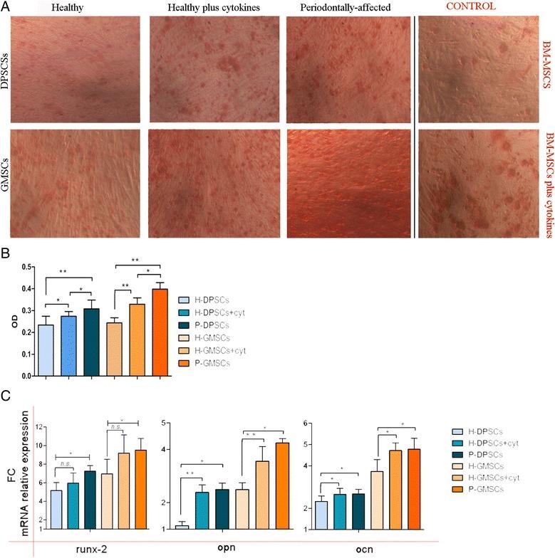 https://cdn.ncbi.nlm.nih.gov/pmc/blobs/91af/5540218/731e408f6221/13287_2017_633_Fig6_HTML.jpg