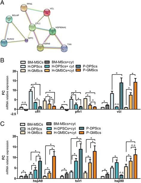 https://cdn.ncbi.nlm.nih.gov/pmc/blobs/91af/5540218/a9b739e1c83a/13287_2017_633_Fig7_HTML.jpg