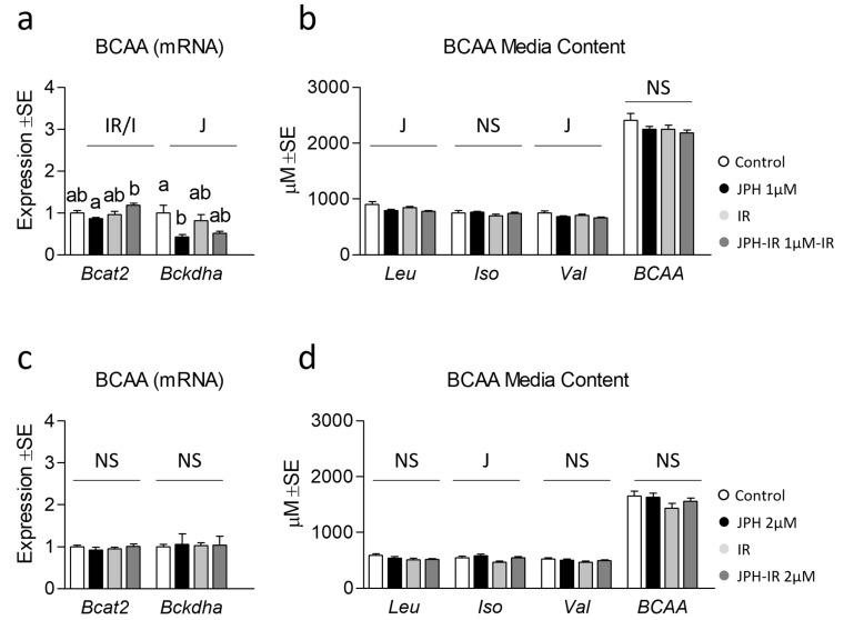 https://cdn.ncbi.nlm.nih.gov/pmc/blobs/91b0/10303577/0b5aea938ded/metabolites-13-00766-g004.jpg