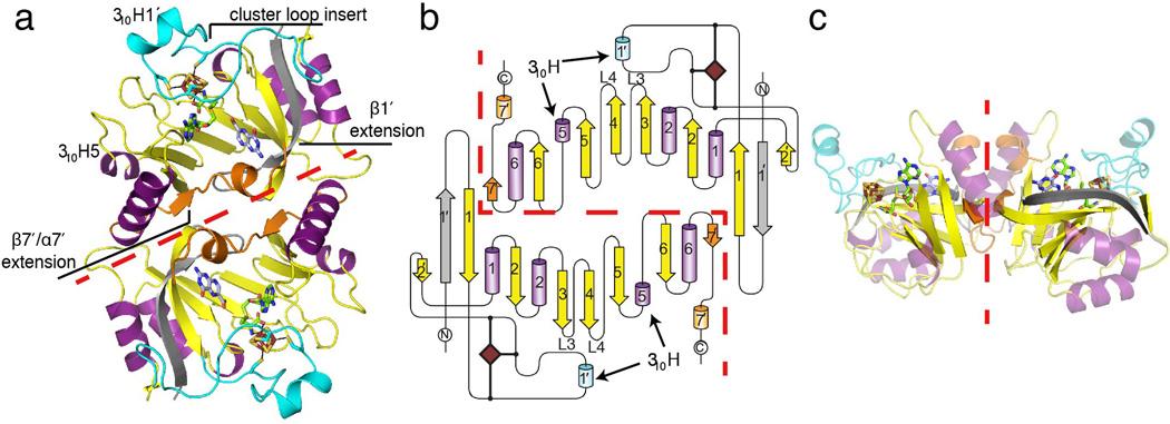 https://cdn.ncbi.nlm.nih.gov/pmc/blobs/91b0/3939041/75f04a3c6054/nihms543576f2.jpg