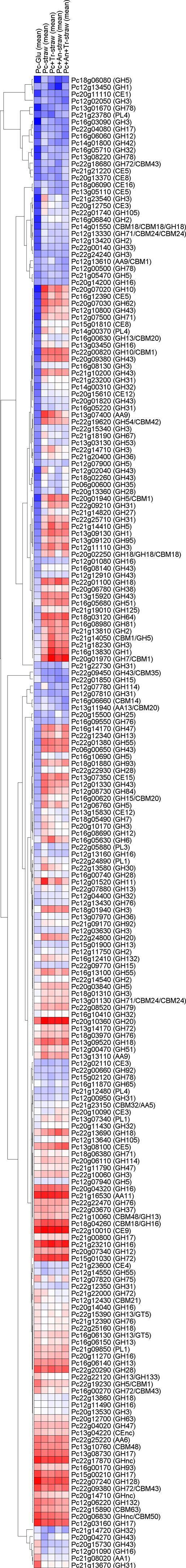 https://cdn.ncbi.nlm.nih.gov/pmc/blobs/91b2/5476202/065292192680/fx2.jpg
