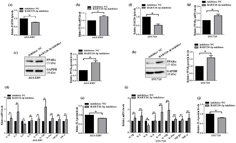 https://cdn.ncbi.nlm.nih.gov/pmc/blobs/91b3/12298216/60c50d361cd9/microorganisms-13-01514-g007.jpg