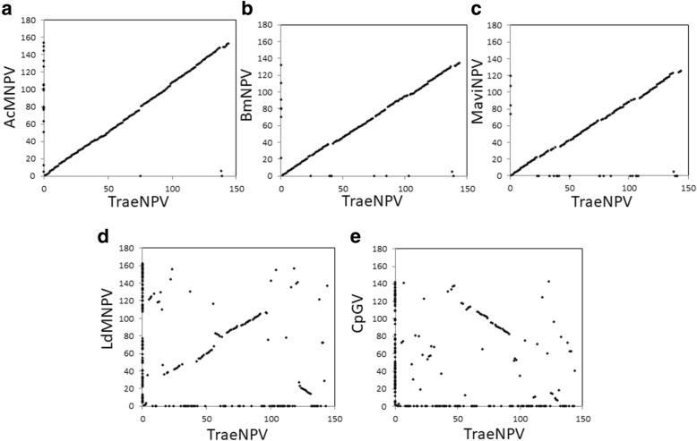 https://cdn.ncbi.nlm.nih.gov/pmc/blobs/91b5/6537400/8da04d722a72/12864_2019_5713_Fig5_HTML.jpg