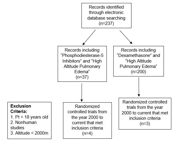 https://cdn.ncbi.nlm.nih.gov/pmc/blobs/91b5/7746037/d083a0ebcbc1/smrj_2019_3_3_7111_17943.jpg