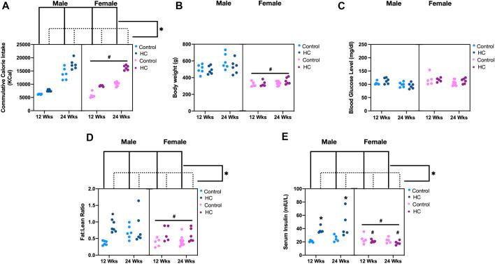 https://cdn.ncbi.nlm.nih.gov/pmc/blobs/91b5/9263356/2902f0b28c62/fphar-13-902582-g001.jpg