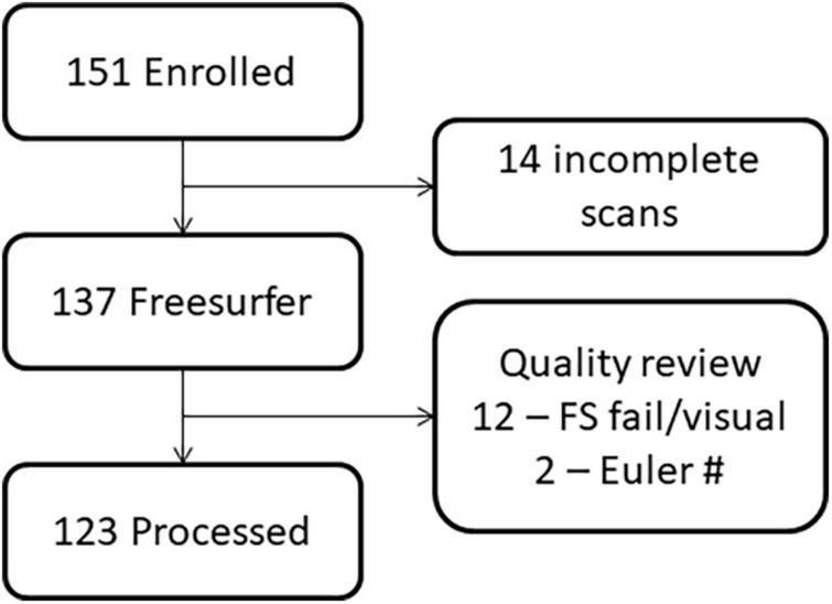 https://cdn.ncbi.nlm.nih.gov/pmc/blobs/91b6/10445146/28b533999964/fnins-17-1152038-g002.jpg