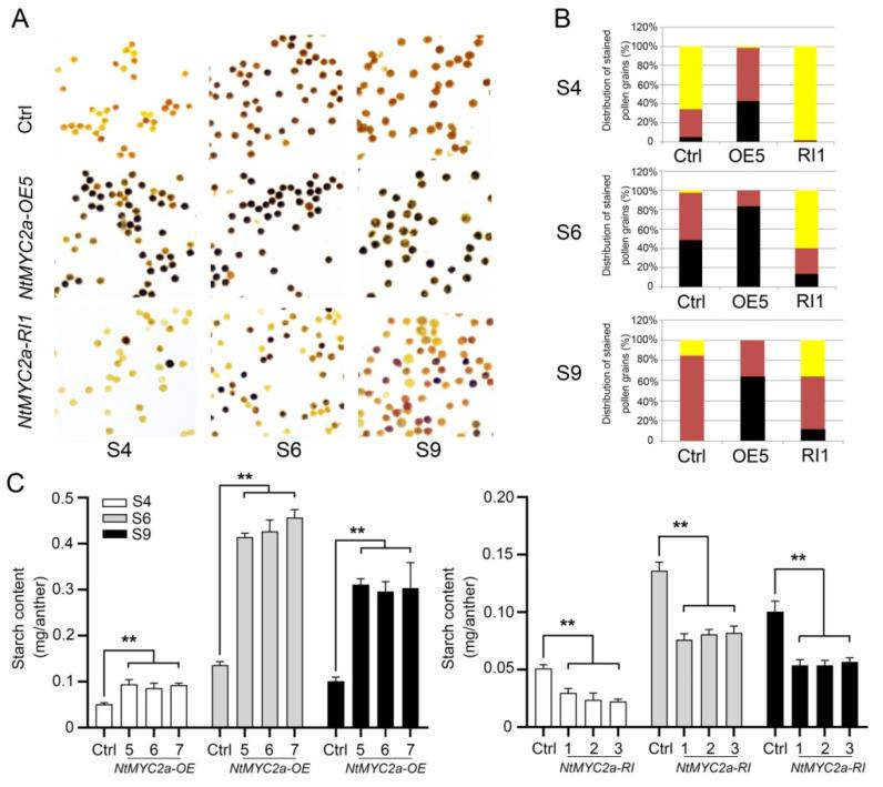 https://cdn.ncbi.nlm.nih.gov/pmc/blobs/91b7/8747387/8f4682b25d43/plants-11-00017-g002.jpg