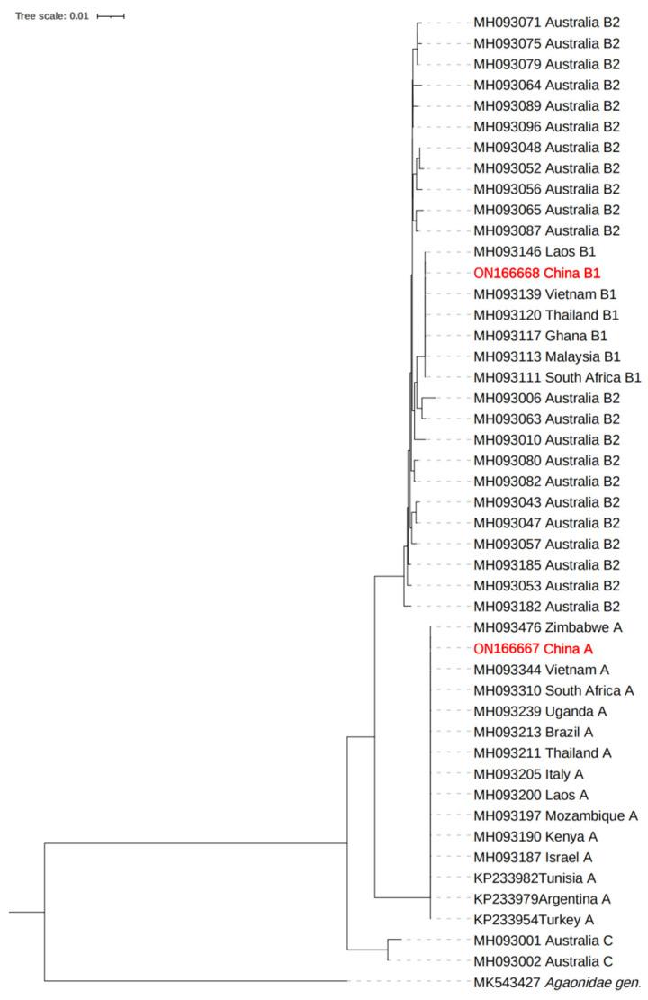 https://cdn.ncbi.nlm.nih.gov/pmc/blobs/91b8/10532318/332d2f3f30f6/insects-14-00757-g001.jpg