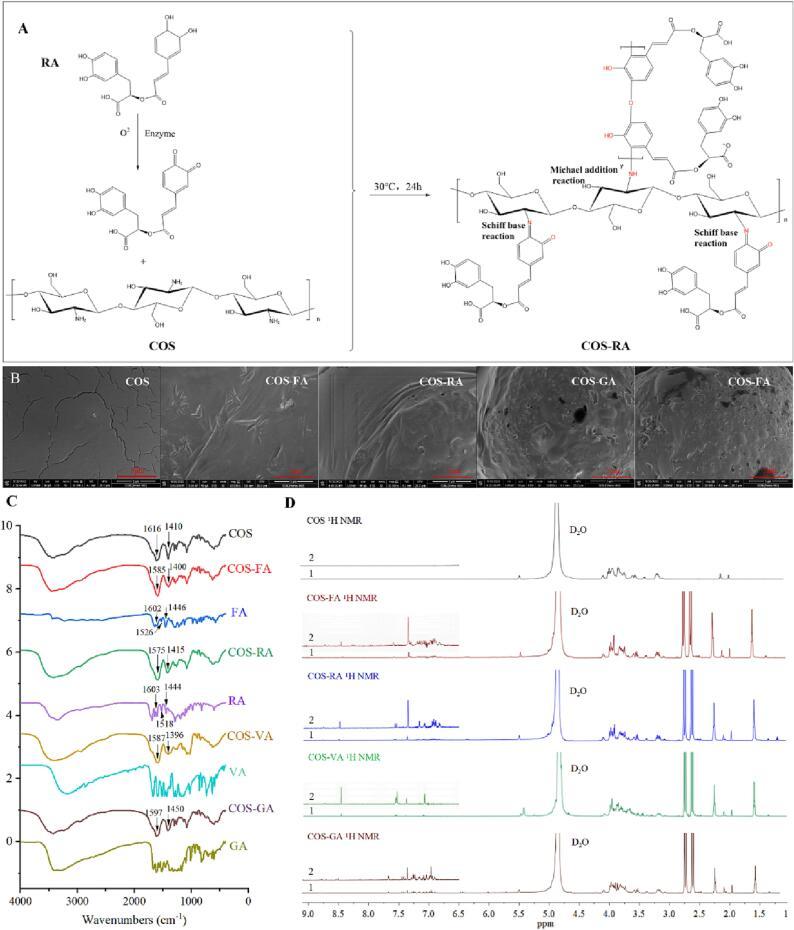 https://cdn.ncbi.nlm.nih.gov/pmc/blobs/91b9/10534123/cd1490e992c9/gr1.jpg