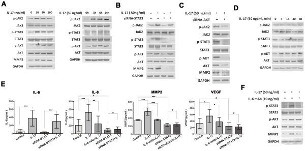 https://cdn.ncbi.nlm.nih.gov/pmc/blobs/91ba/3310750/47791d3996f7/1476-4598-10-150-2.jpg