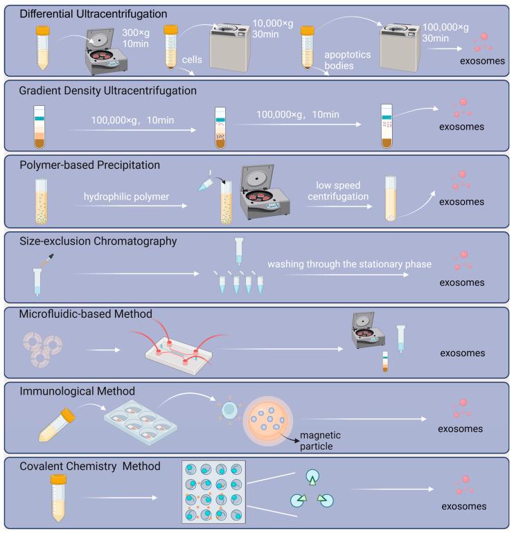 https://cdn.ncbi.nlm.nih.gov/pmc/blobs/91bc/11277139/254c751d148e/ijms-25-07715-g002.jpg