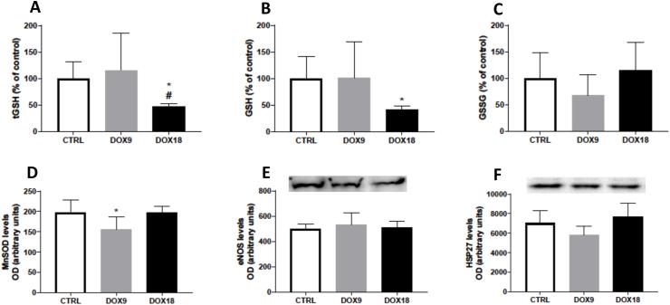 https://cdn.ncbi.nlm.nih.gov/pmc/blobs/91be/11168325/b3ee51a1168b/gr1.jpg
