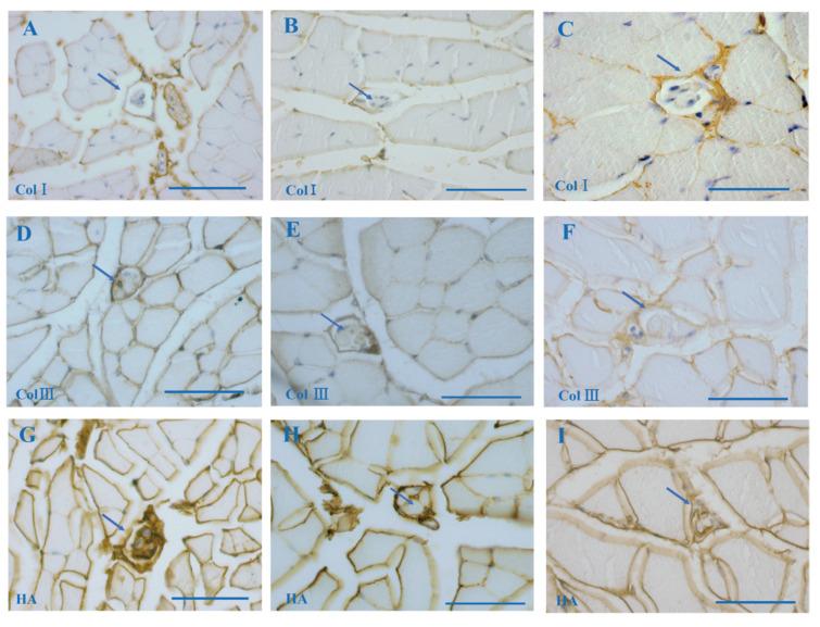 https://cdn.ncbi.nlm.nih.gov/pmc/blobs/91bf/8745670/1b05649fc663/jcm-11-00086-g003.jpg