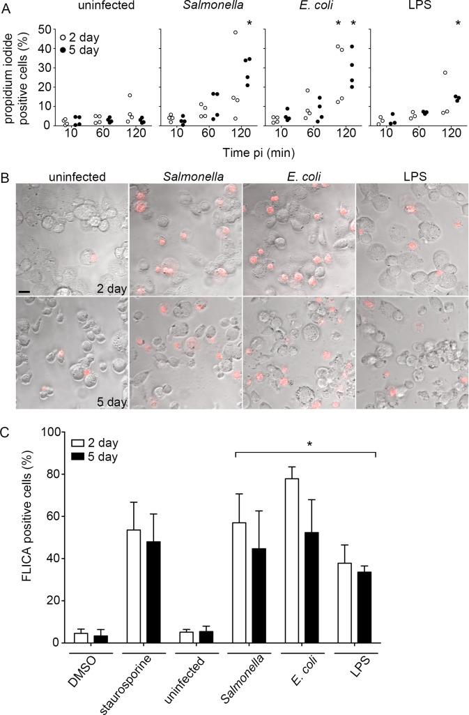 https://cdn.ncbi.nlm.nih.gov/pmc/blobs/91c3/5851575/d9cb2c686ae0/pone.0193601.g003.jpg