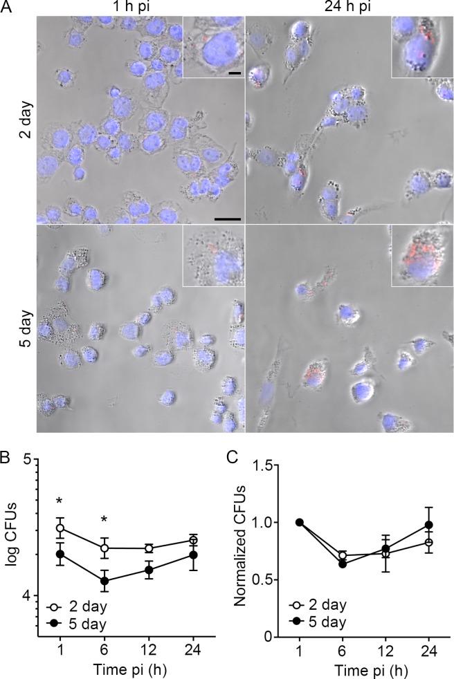 https://cdn.ncbi.nlm.nih.gov/pmc/blobs/91c3/5851575/fe84a94bb7ef/pone.0193601.g002.jpg