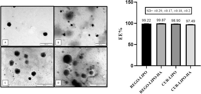 https://cdn.ncbi.nlm.nih.gov/pmc/blobs/91c4/11135027/877a8bf0f0d4/gr5.jpg