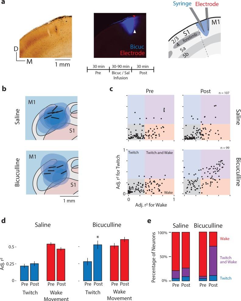 https://cdn.ncbi.nlm.nih.gov/pmc/blobs/91c4/6320070/e0ad38db0c8a/elife-41841-fig8.jpg