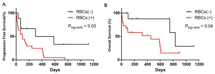 https://cdn.ncbi.nlm.nih.gov/pmc/blobs/91c4/8198105/4cd99899d7a0/cancers-13-02668-g006.jpg