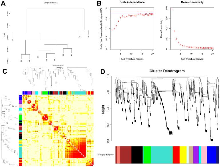 https://cdn.ncbi.nlm.nih.gov/pmc/blobs/91c6/9512505/d80822e2ad8b/aging-14-204278-g001.jpg