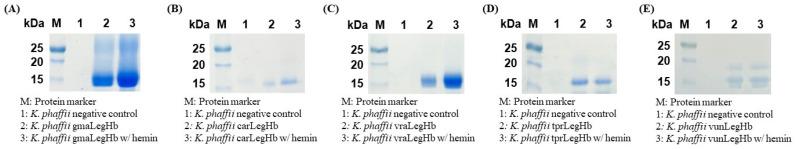 https://cdn.ncbi.nlm.nih.gov/pmc/blobs/91c9/12026525/4af746f7041e/foods-14-01422-g004.jpg