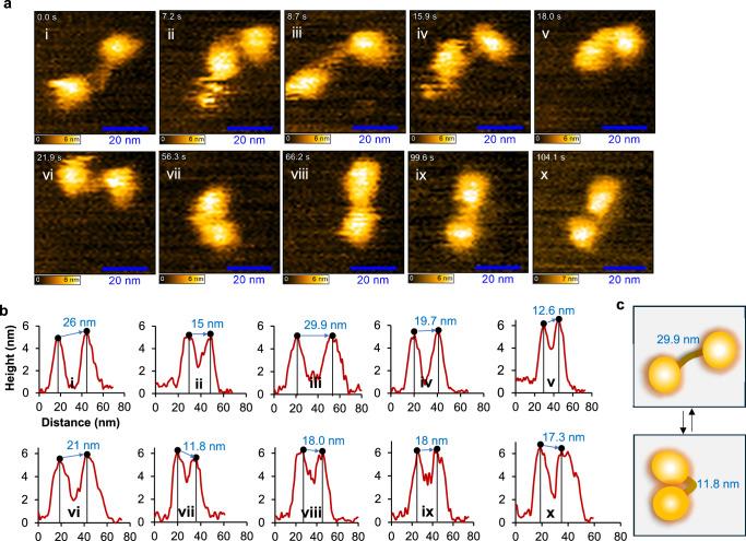 https://cdn.ncbi.nlm.nih.gov/pmc/blobs/91c9/12106642/53f69e68e008/41467_2025_59987_Fig4_HTML.jpg