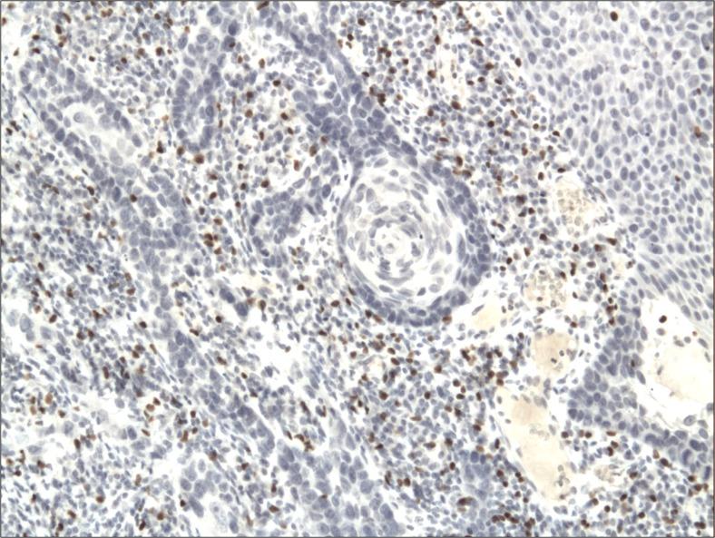 https://cdn.ncbi.nlm.nih.gov/pmc/blobs/91c9/5972165/75ccc6d637a7/12253_2017_270_Fig2_HTML.jpg